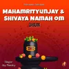 Mahamritunjay And Shivaya Namah Om - Dhun